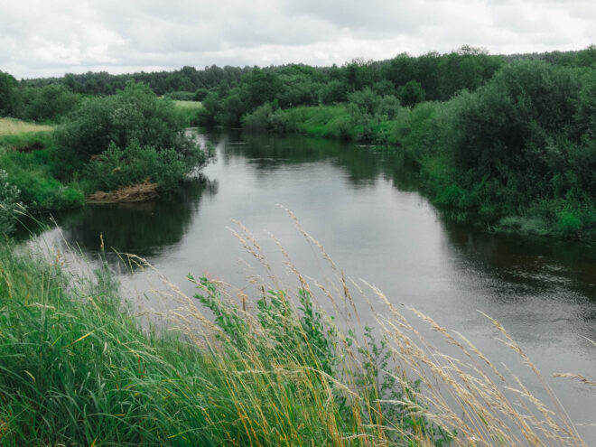 В Зубцове из воды извлекли тело женщины