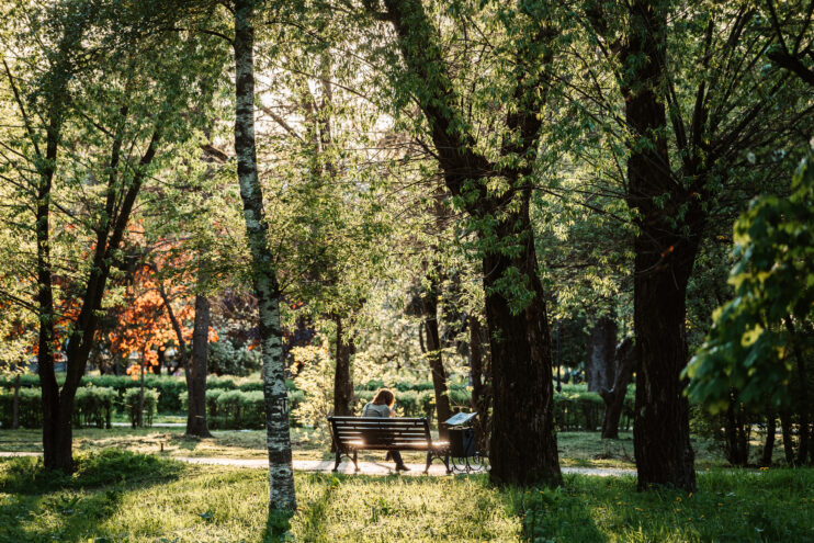 Понедельник в Тверской области будет теплый и солнечный