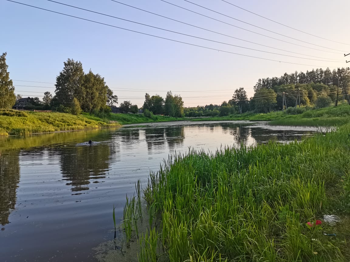 В Тверской области в реке утонул 14-летний подросток