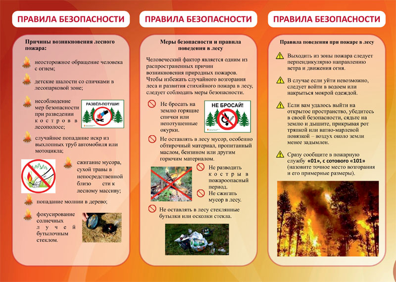 Жителям Твери рассказали, как избежать пожаров в парках Жителям Твери рассказали, как избежать пожаров в парках