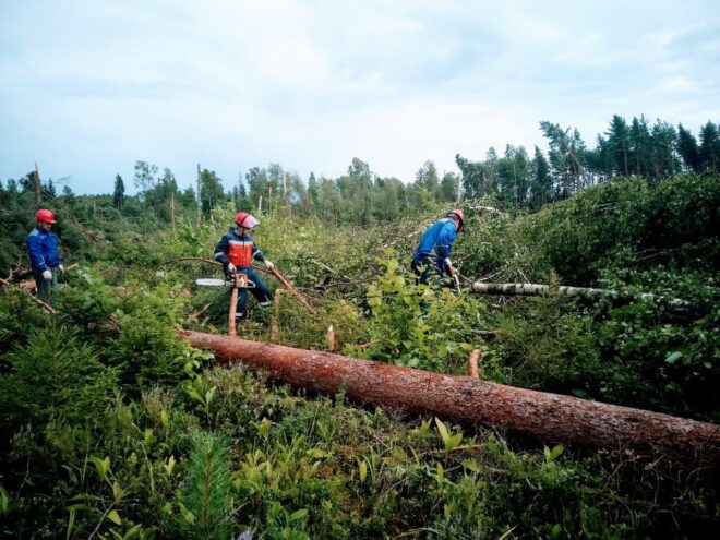 Специалисты "Россети Центр" - "Тверьэнерго" восстановили нарушенное грозовым циклоном электроснабжение потребителей Тверской области Специалисты "Россети Центр" - "Тверьэнерго" восстановили нарушенное грозовым циклоном электроснабжение потребителей Тверской области