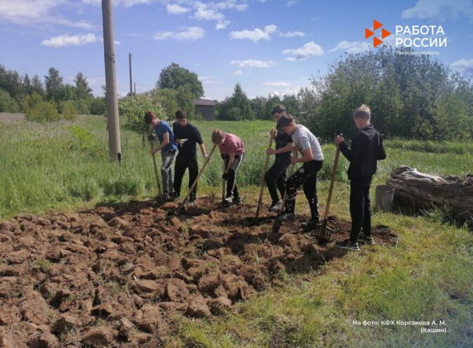 Больше 340 подростков смогут получить трудовой опыт на сельскохозяйственных предприятиях Тверской области в 2023 году