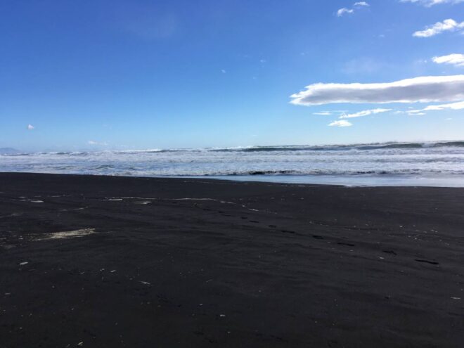 МегаФон создаст систему экомониторинга морской акватории Камчатки