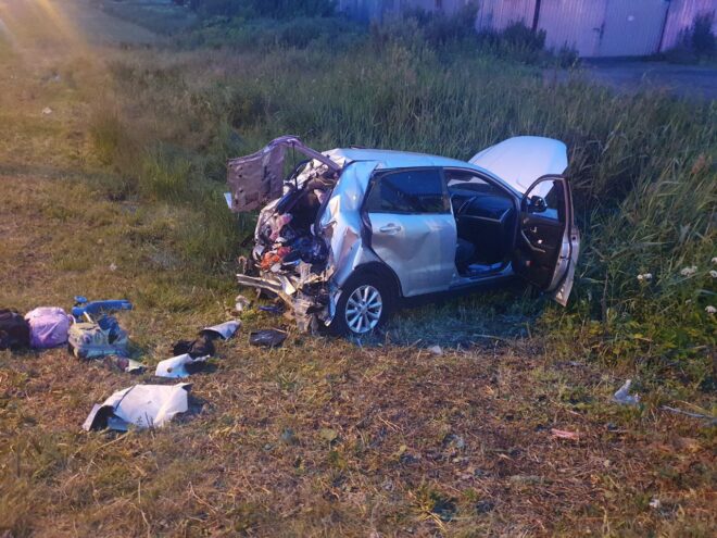 В аварии в Конаковском районе пострадали женщина и 13-летняя девочка В аварии в Конаковском районе пострадали женщина и 13-летняя девочка