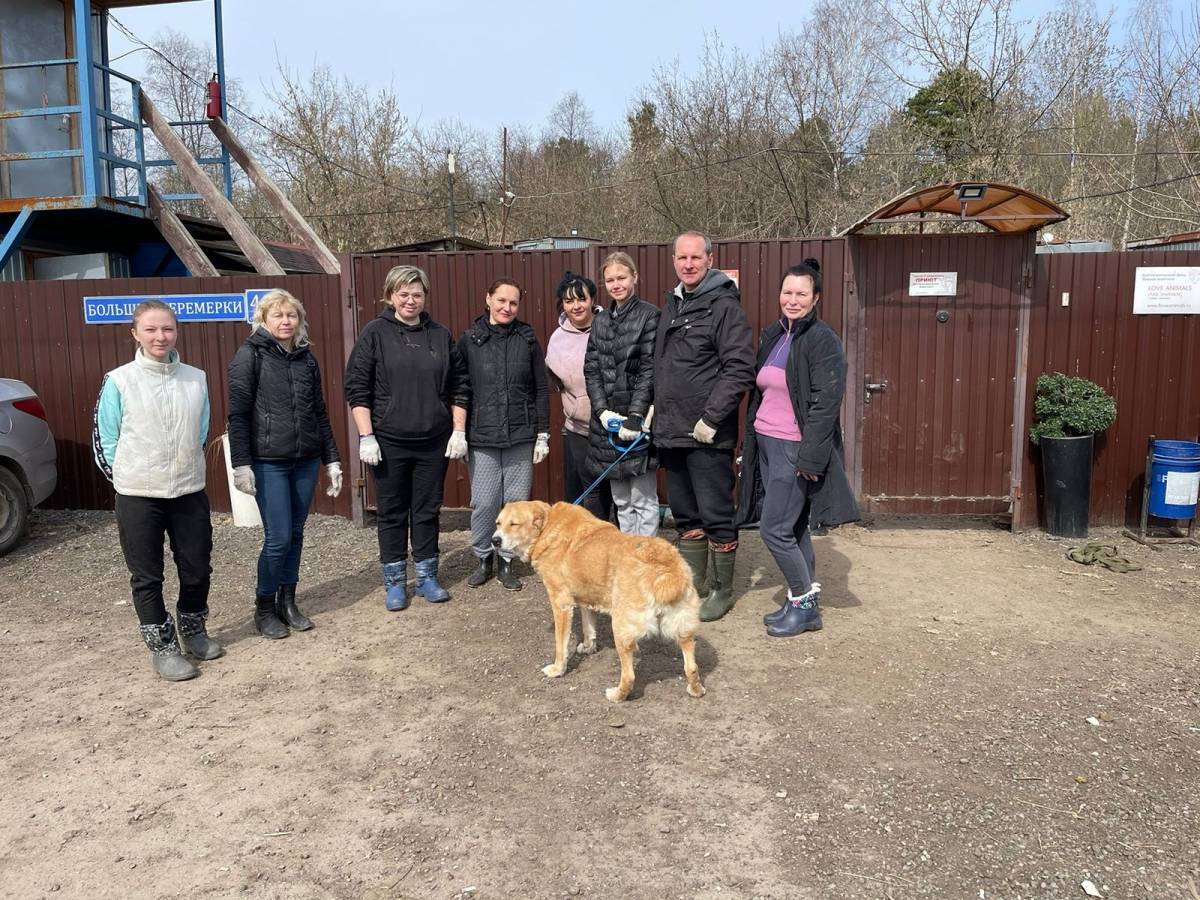 Дмитрий Нечаев: Работа партийного проекта «Защита животного мира» активно продолжается