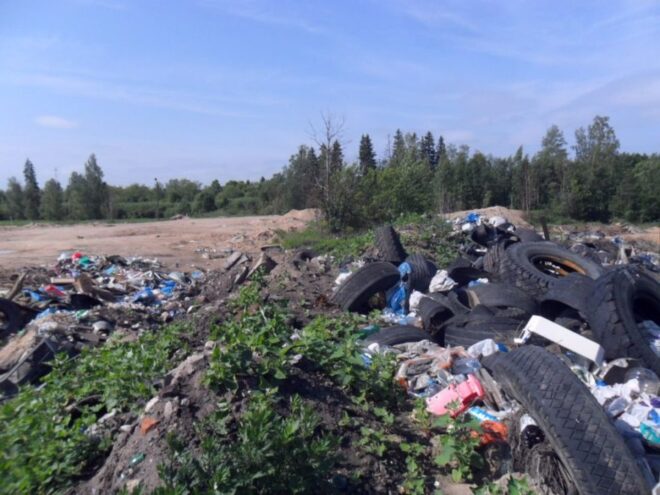 Россельхознадзор продолжает выявлять факты загрязнения земель Россельхознадзор продолжает выявлять факты загрязнения земель