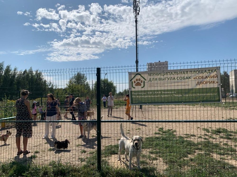 Дмитрий Нечаев: Работа партийного проекта «Защита животного мира» активно продолжается