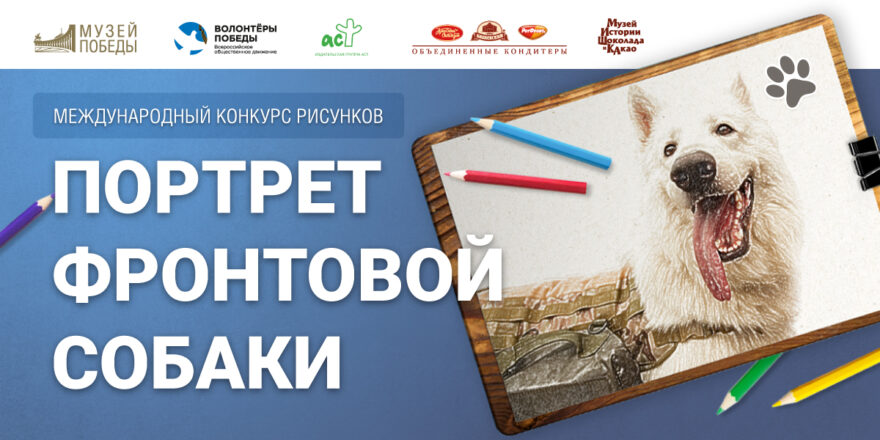 Юном жителям Тверской области предложили нарисовать портрет фронтовой собаки Юном жителям Тверской области предложили нарисовать портрет фронтовой собаки