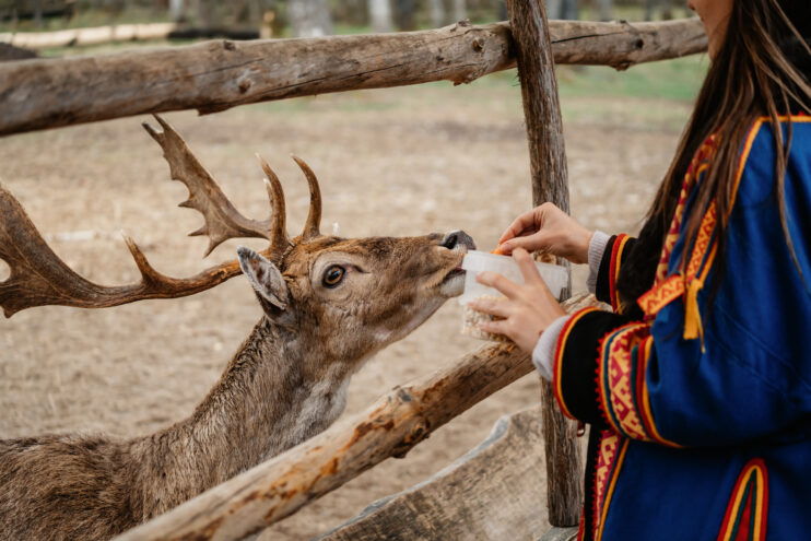 Тверская область представила успешные практики в сфере сельского туризма на всероссийской конференции в Дагестане ВТБ: спрос на туристические услуги вырос на 13%