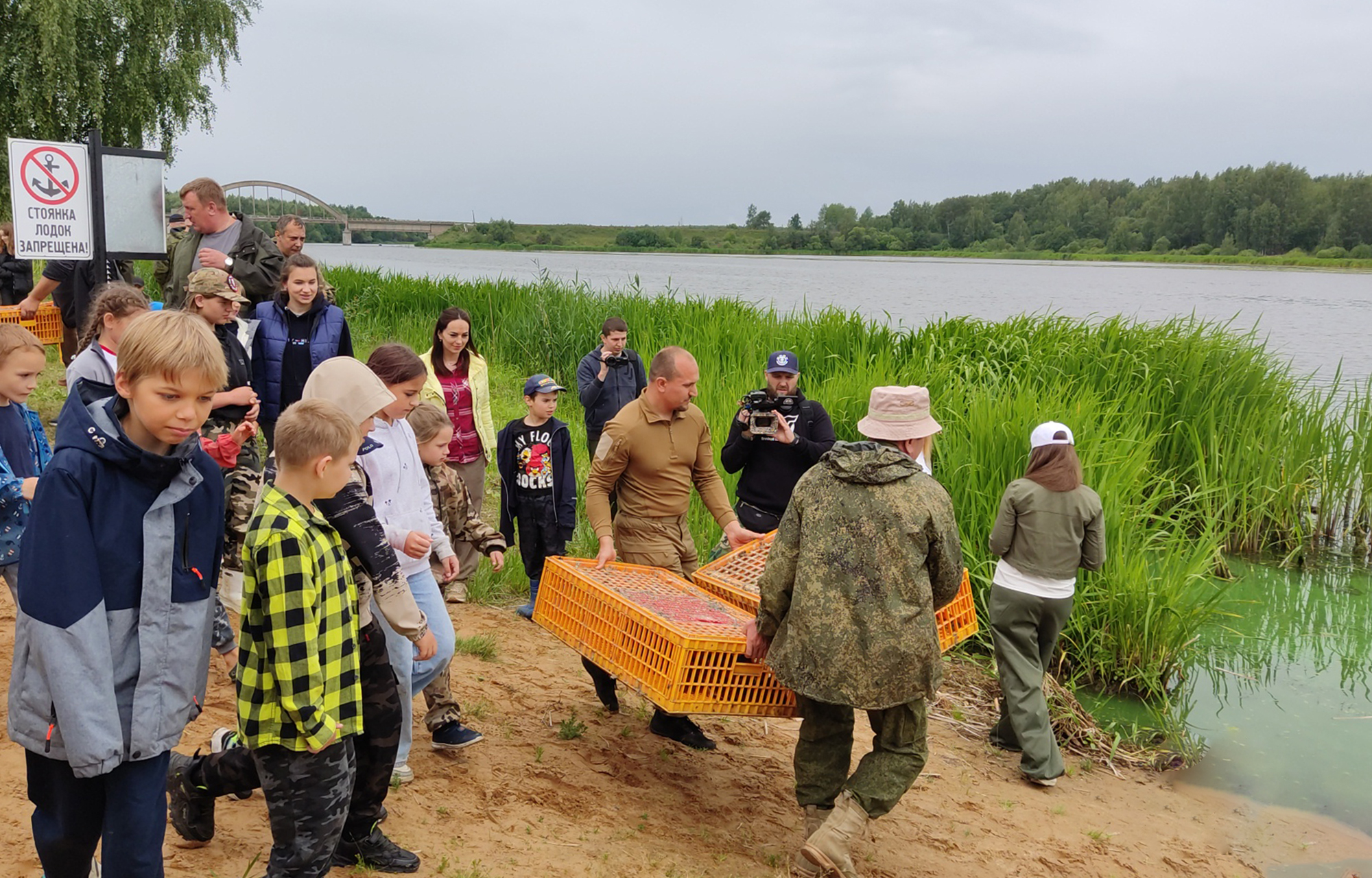 В Калязинском округе в естественную среду обитания выпустили 600 утят