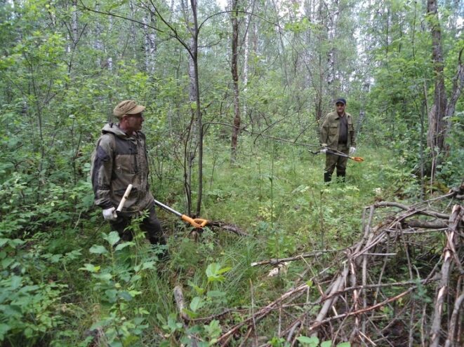 Во время поисков на месте боев 1941-го года были найдены экспонаты для Андреапольского музея