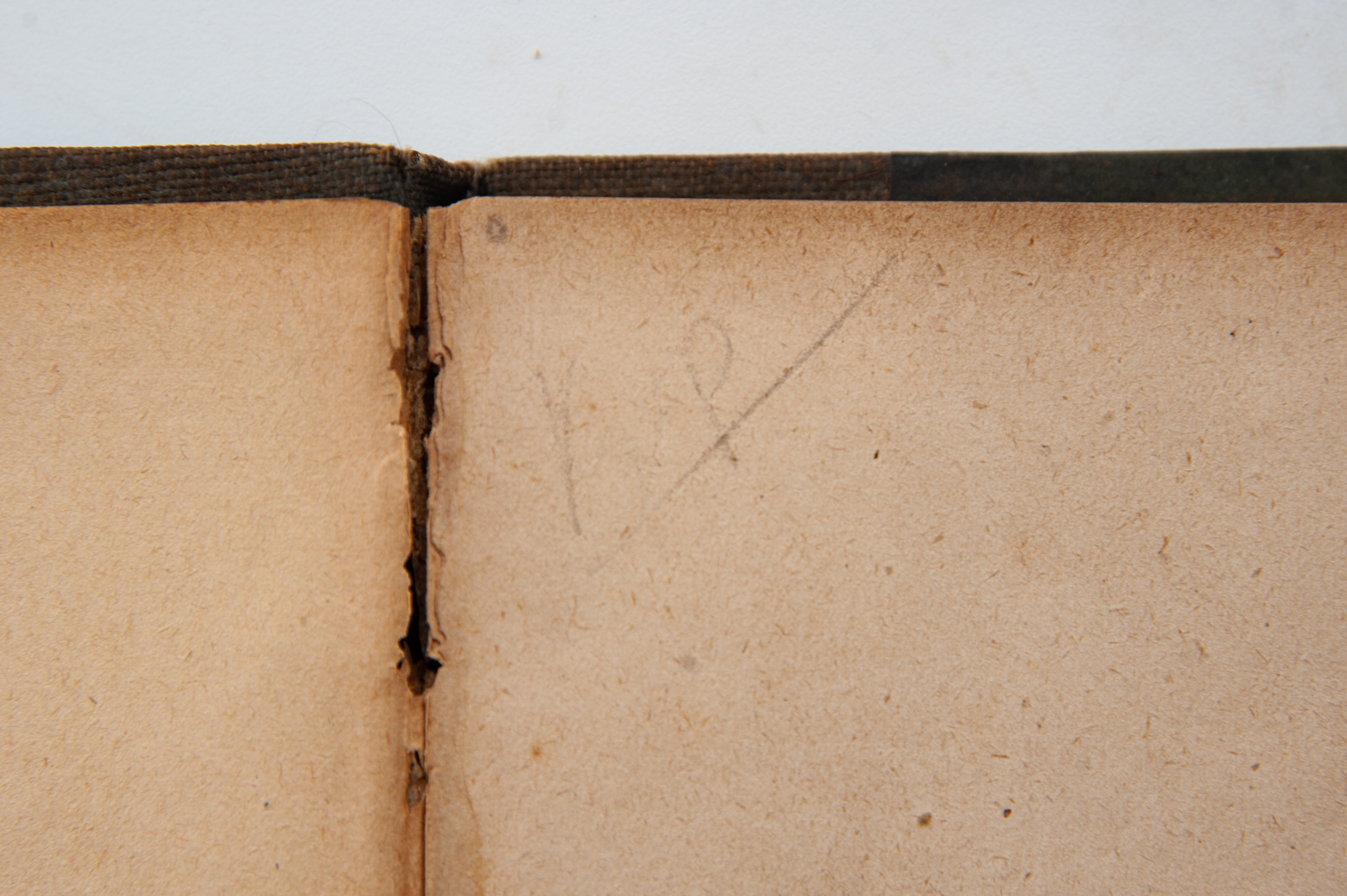 Тайны старых переплетов: горе-бизнес Александра Куприна