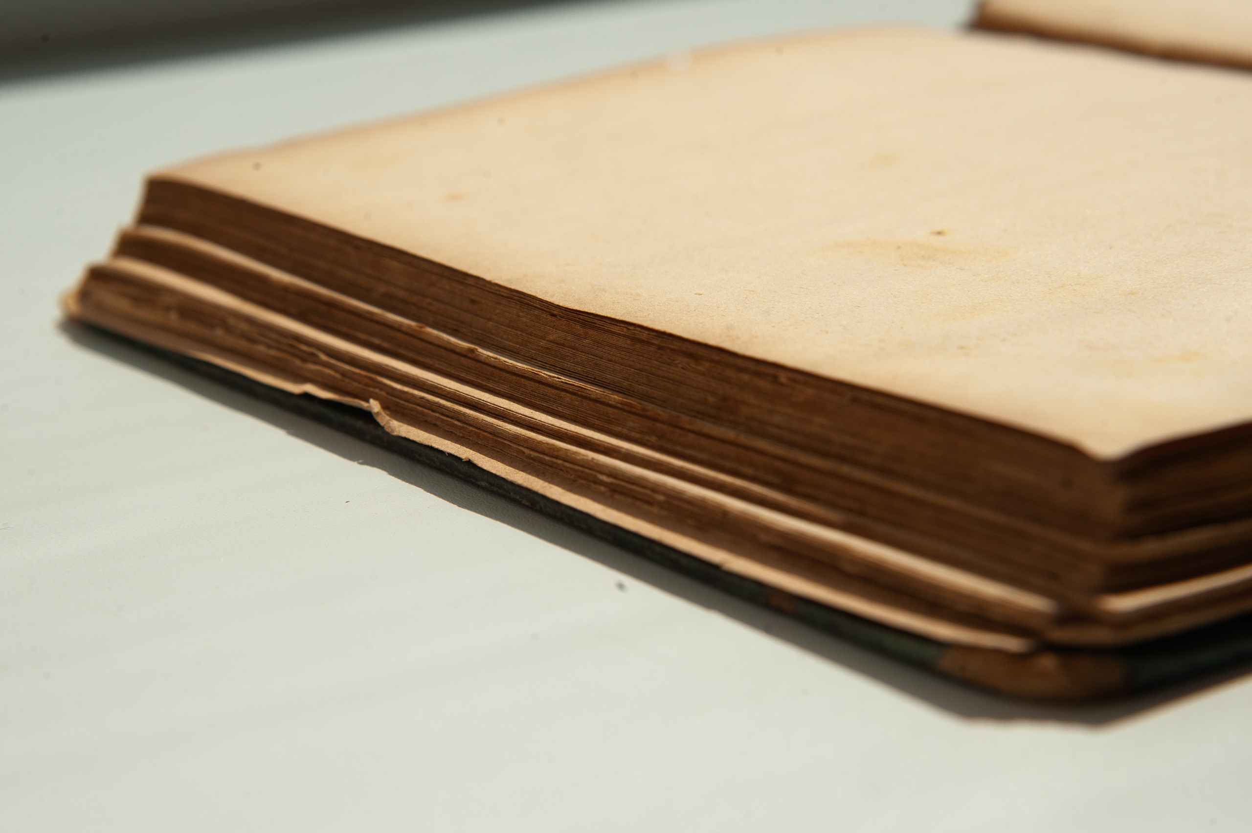 Тайны старых переплетов: горе-бизнес Александра Куприна