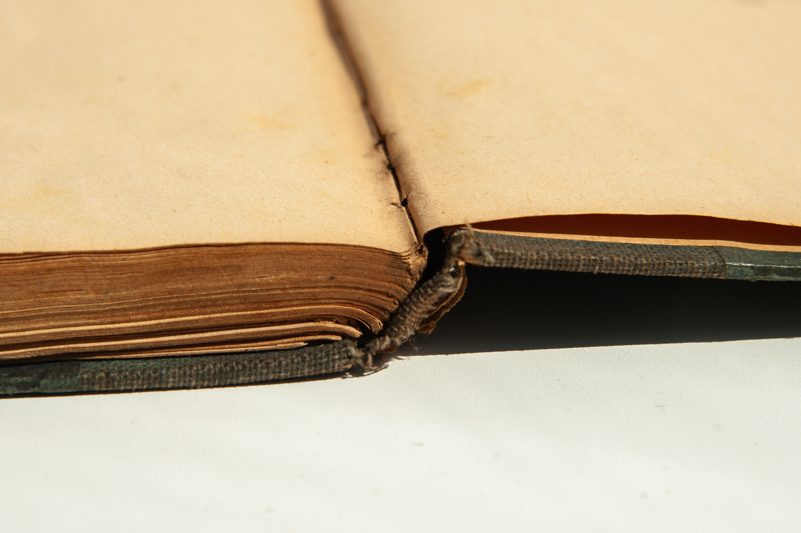 Тайны старых переплетов: горе-бизнес Александра Куприна