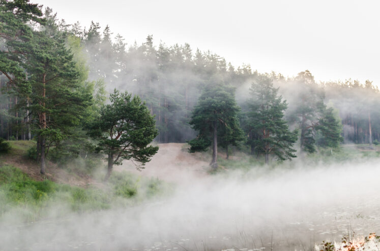 На Тверскую область опустился туман 26 сентября в утренние часы в Тверской области ожидается туман