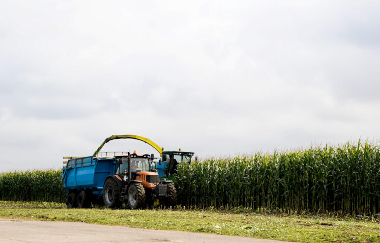 Хозяйства Тверской области заготавливают корма для животноводства В Тверской области заготавливают корма для животноводства
