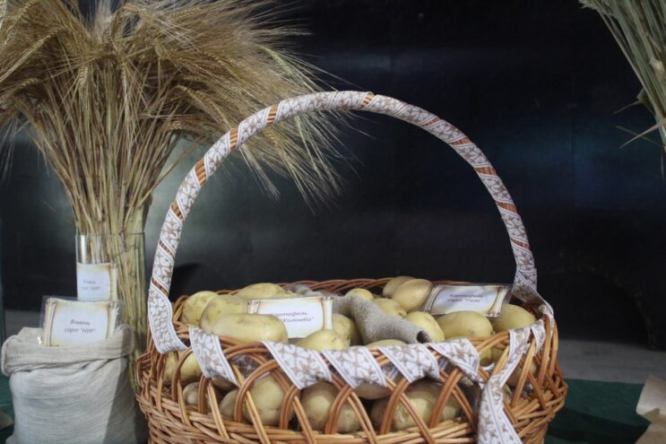 День поля объединил ученых, технологов и машиностроителей в Тверской области