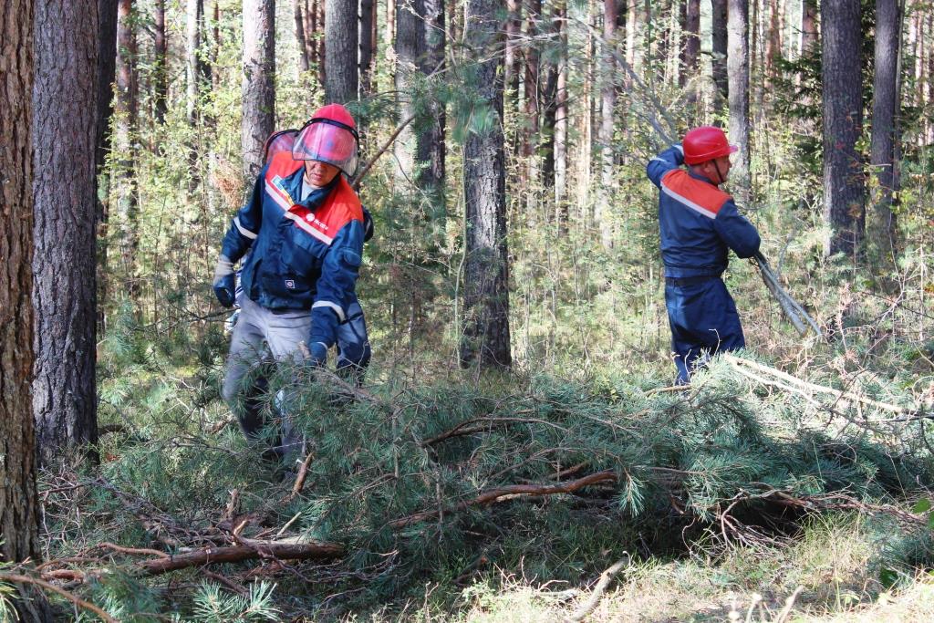 Тверьэнерго повышает надежность воздушных линий 6-10 кВ