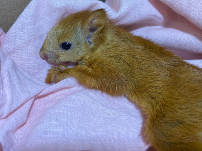 ВОЛОНТЕРЫ ИЗ ТВЕРСКОЙ ОБЛАСТИ