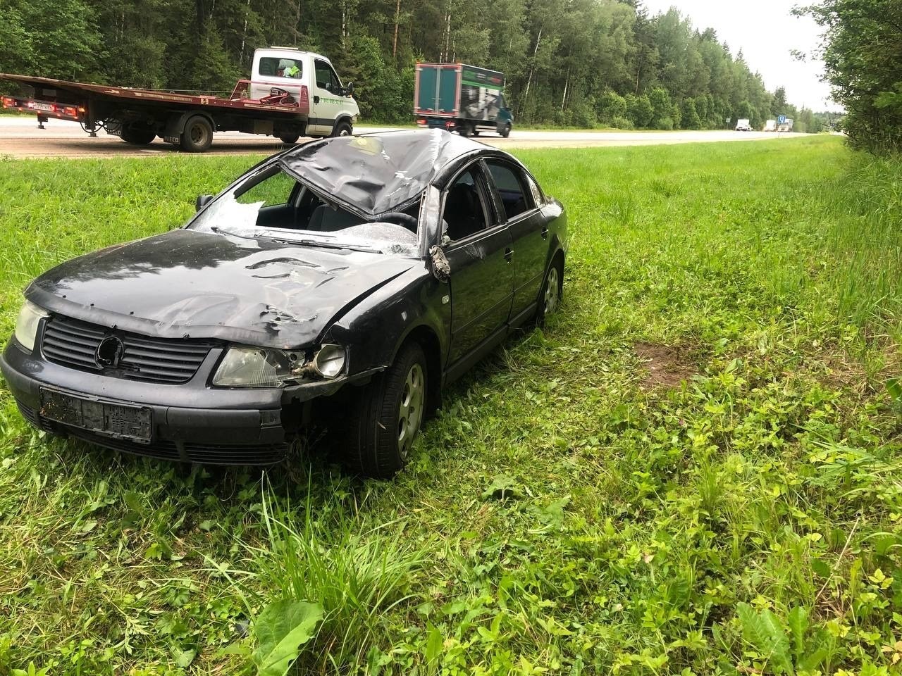 На М-10 в Тверской области иномарка сбила лося