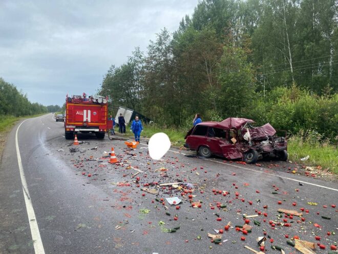 В аварии в Тверской области погиб водитель одного из автомобилей