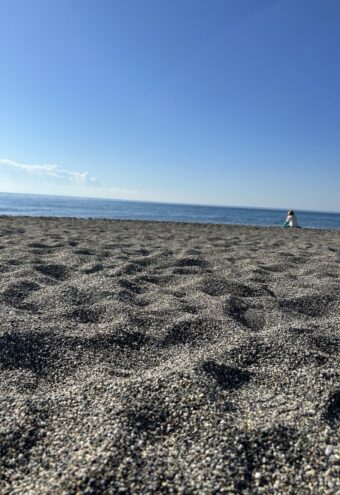 Туристы из Твери все чаще выбирают Сочи для отдыха на Черном море Туристы из Твери все чаще выбирают Сочи для отдыха на Черном море