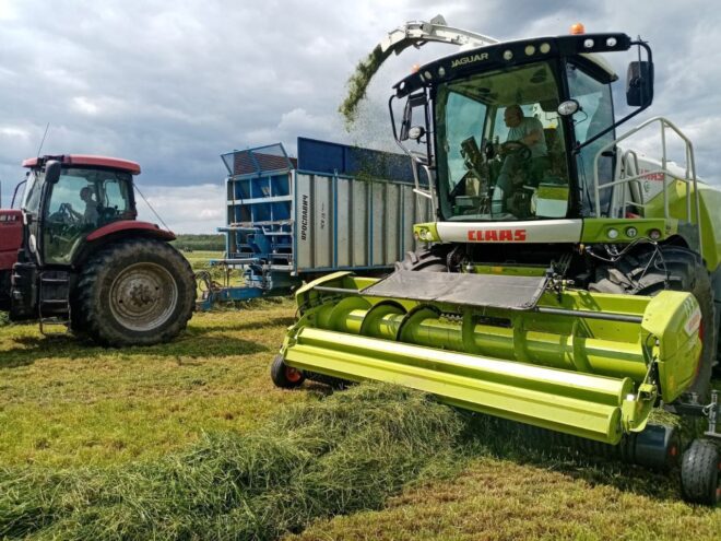 В Тверской области аграрии наращивают объемы заготовки кормов для животноводства В Тверской области аграрии наращивают объемы заготовки кормов для животноводства