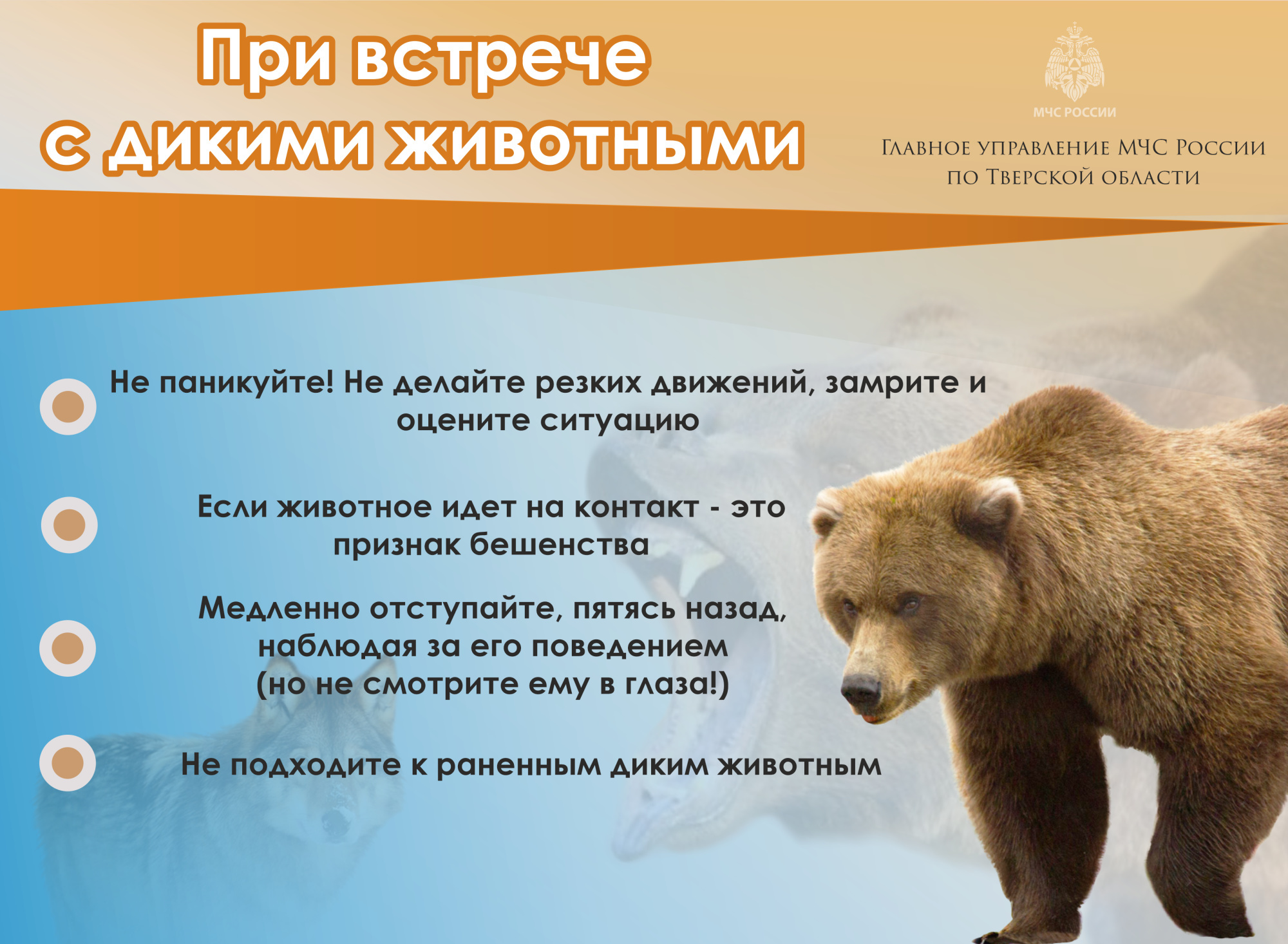 В МЧС региона рассказали, как вести себя при встрече с дикими животными