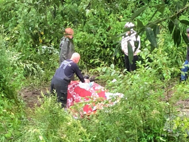 В Тверской области сотрудники МЧС спасли попавшую в реку лошадь В Тверской области сотрудники МЧС спасли попавшую в реку лошадь