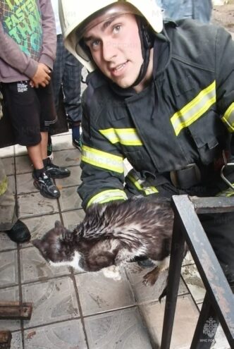 В Кимрах сотрудники МЧС спасли кота, застрявшего в коммуникации
