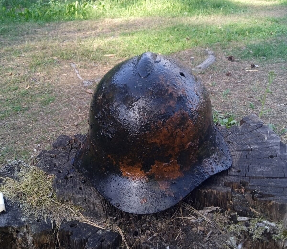 В реке в Тверской области нашли дорогой атрибут советского военного В реке в Тверской области нашли дорогой атрибут советского военного