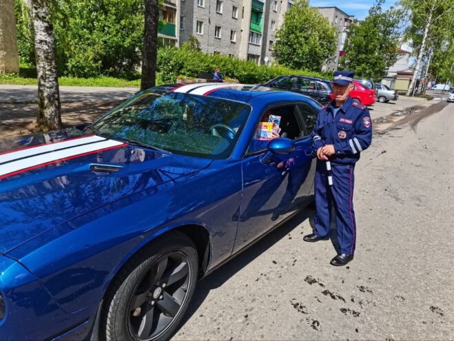 Госавтоинспекция Нелидовского района провела профилактическое мероприятие на дороге