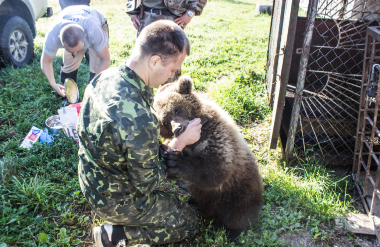 На федеральном канале расскажут историю дружбы летчика и медведя из Тверской области На федеральном канале расскажут историю дружбы летчика и медведя из Тверской области
