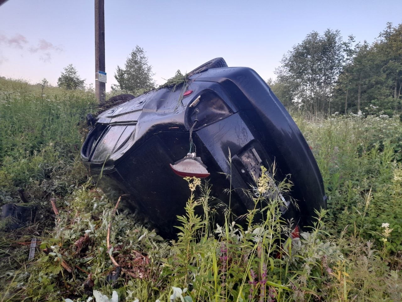 В Тверской области 17-летний парень сел за руль в пьяном виде и попал в ДТП В Тверской области 17-летний парень сел за руль в пьяном виде и попал в ДТП