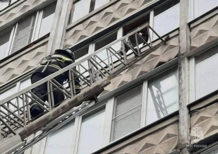 В Твери сотрудники МЧС спасли застрявшего на балконе кота