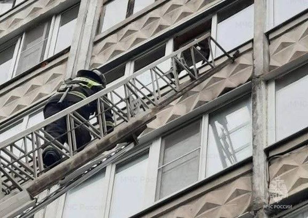 В Твери сотрудники МЧС спасли застрявшего на балконе кота В Твери сотрудники МЧС спасли застрявшего на балконе кота