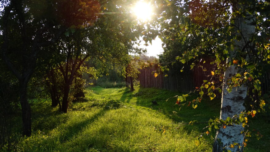 Фотолайфхак: 15 правил идеальной съемки