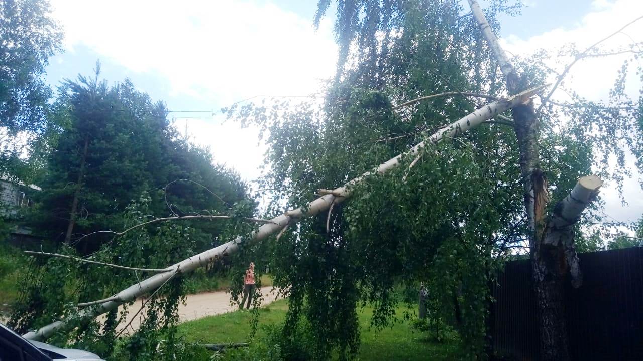 Специалисты «Тверьэнерго» ликвидируют последствия штормового ветра в регионе Специалисты «Тверьэнерго» ликвидируют последствия штормового ветра в регионе