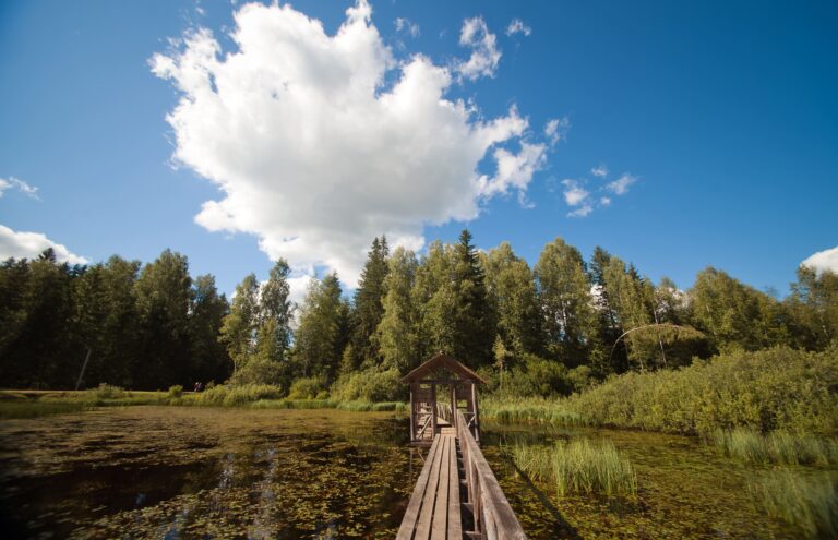 Проект Тверской области участвует в конкурсе «Russian Traveler Awards 2023»