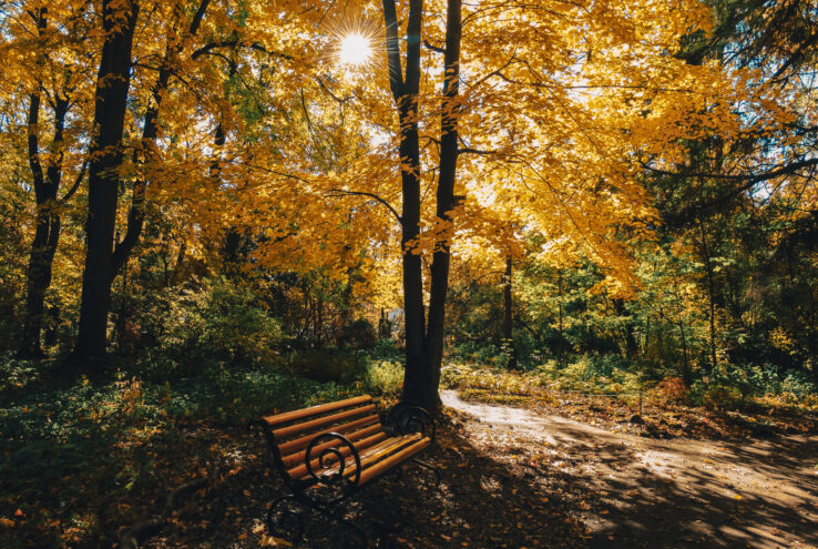 Пятница порадует жителей Тверской области солнцем и теплом