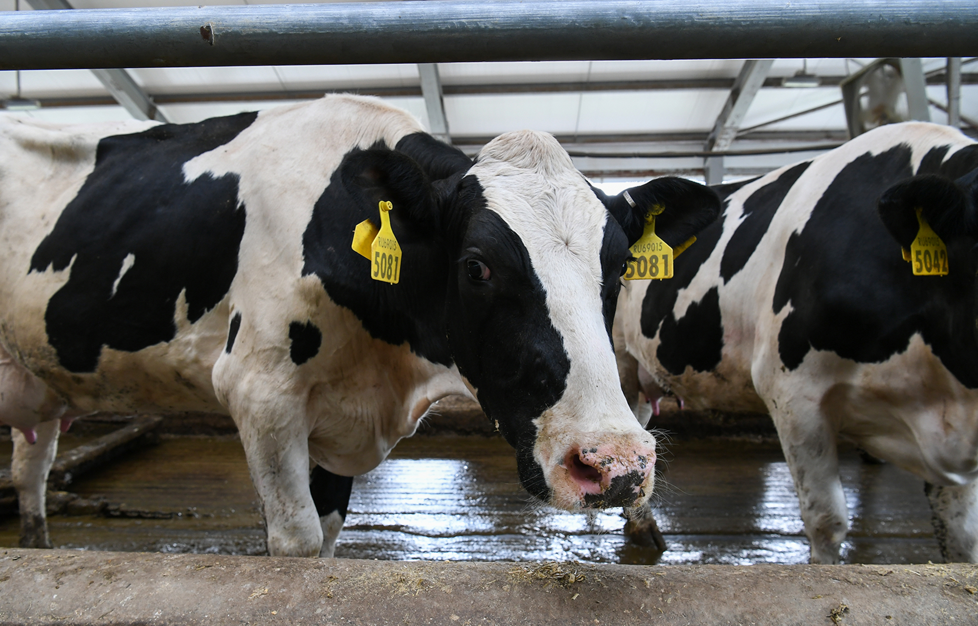 На выездном совещании Совета Госдумы в Конаковском районе рассмотрели подпрограмму «Развитие Нечерноземья»