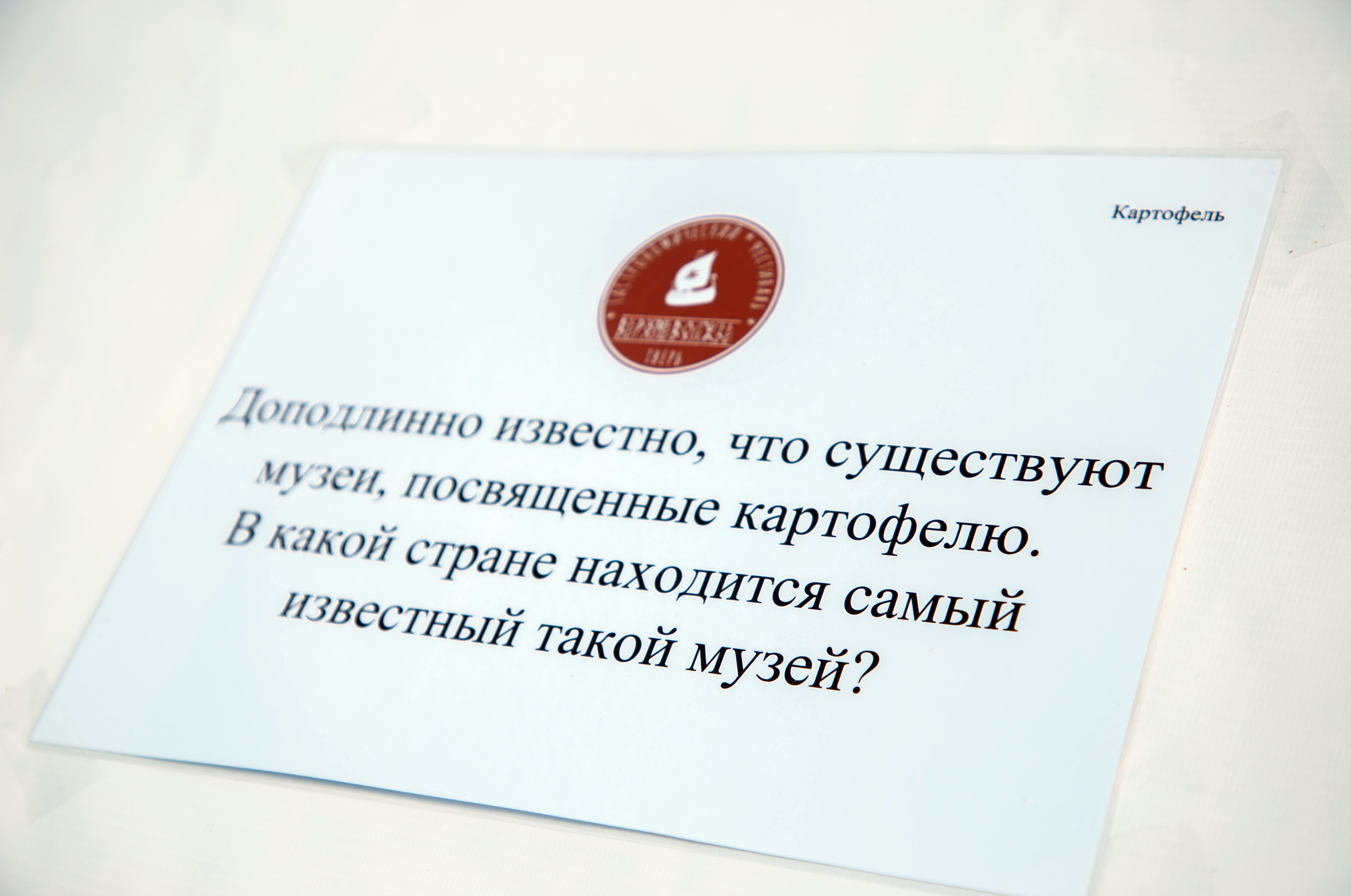 Квест-окрошка и Карина Кокс: Чем запомнился гастрономический фестиваль "Верхневолжье"