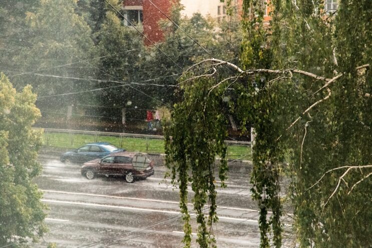 Середина недели в Тверской области будет теплой и дождливой