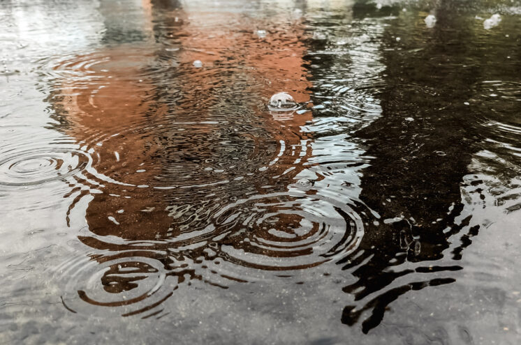 Жителей Тверской области ждет дождливый выходной В Тверской области ожидаются дожди и потепление