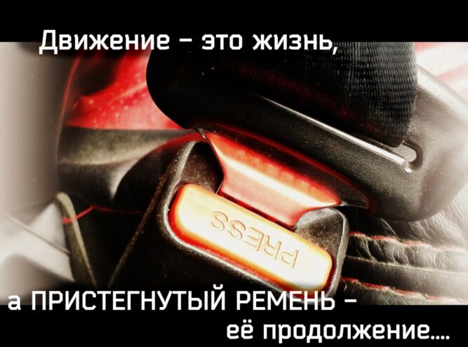 В Твери подвели итоги профилактической акции «Пристегните ремни!» В Твери 120 водителей находились за рулем без ремня безопасности