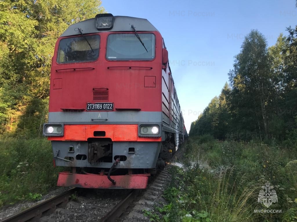 В Тверской области на станции загорелся тепловоз В Тверской области на станции загорелся тепловоз