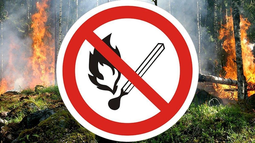 В Конаковском округе до 31 августа действует особый противопожарный режим