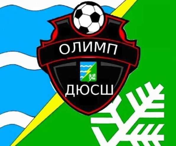 Спортшкола «Олимп» в Конаково набирает ребят в секции Спортшкола «Олимп» в Конаково набирает ребят в секции