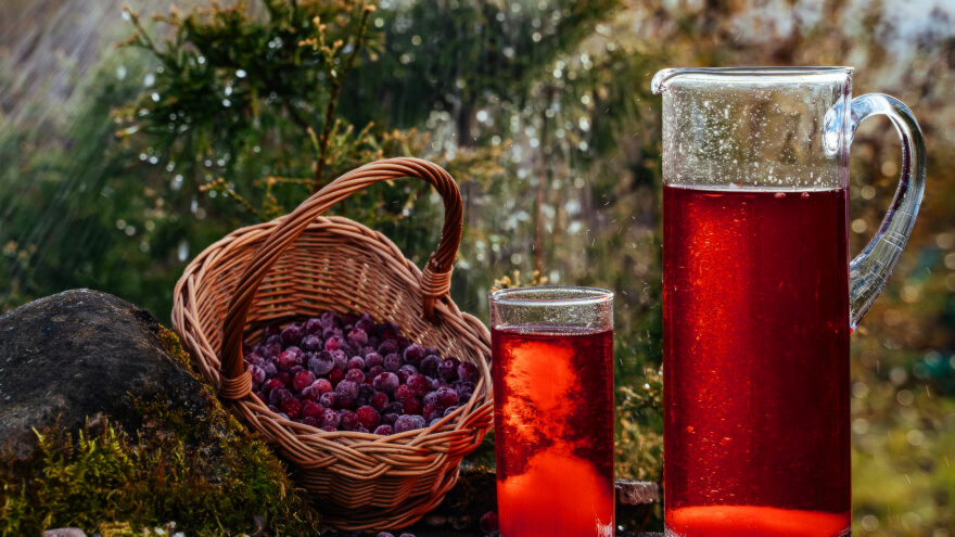 Рецепт сока из смородины Рецепт сока из смородины