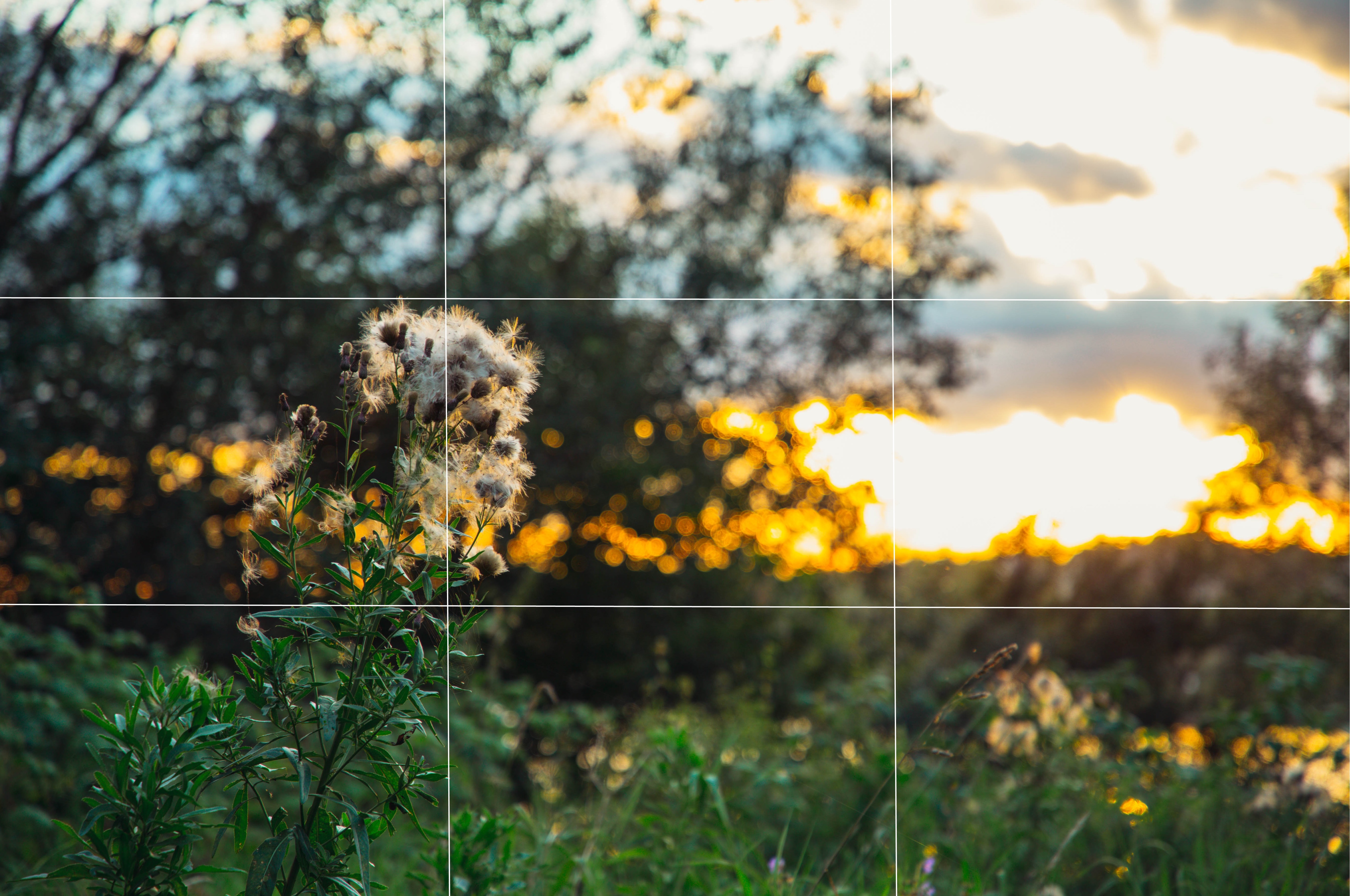 Фотолайфхак: Основное правило творческой фотографии